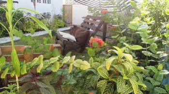 Rafjam Bed And Breakfast Kingston Exterior foto